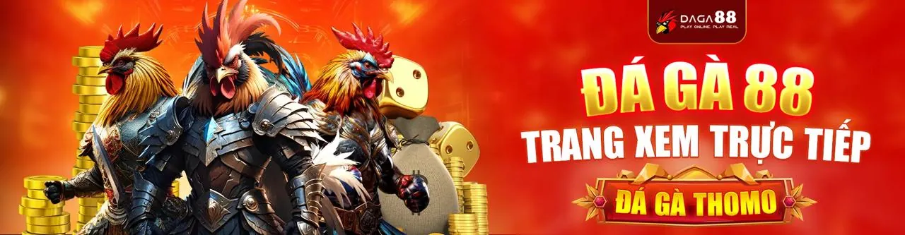 Hình ảnh hỗ trợ khách hàng đá gà trực tiếp Thomo có bình luận