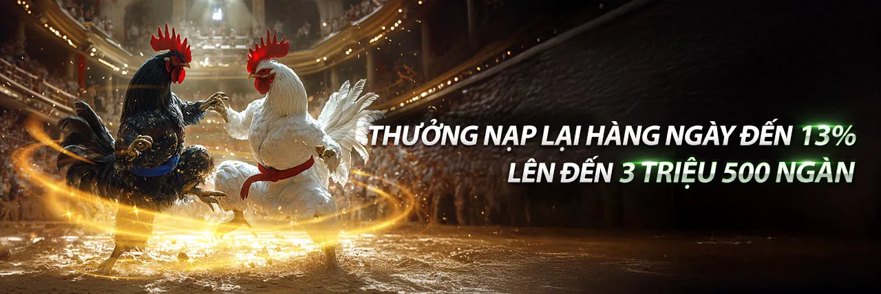 Bình luận viên đá gà chuyên nghiệp
